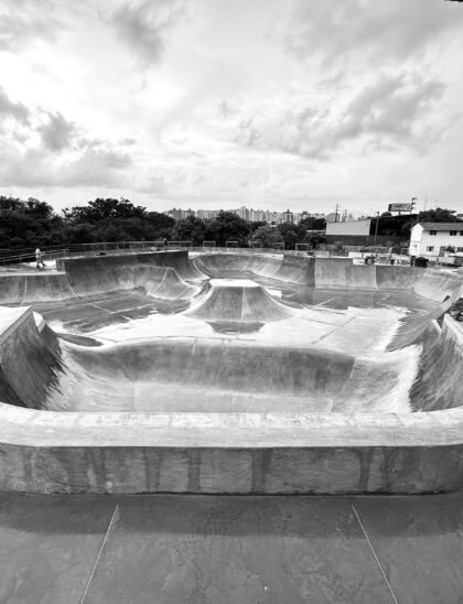Longarfino Skateparks